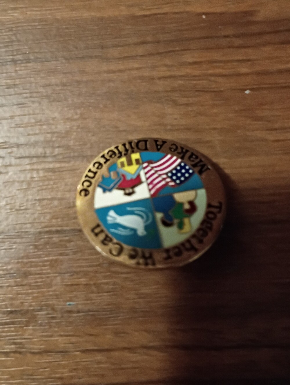 Together We Can Make a Difference Collectible Gold Tone Souvenir Lapel Pin